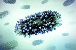 Enanta Pharmaceuticals Advances Zelicapavir: A New Frontier in the Fight Against RSV