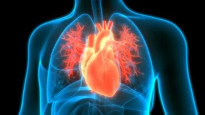 Global Recall Initiated for Terumo’s RelayPro Thoracic Stent-Graft System Following Reports of Patient Fatalities