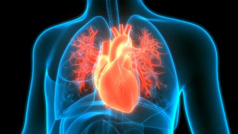 Global Recall Initiated for Terumo’s RelayPro Thoracic Stent-Graft System Following Reports of Patient Fatalities