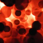 Guardians of the Airways: New Insights into Human Lung Immunity and Vaccine Development