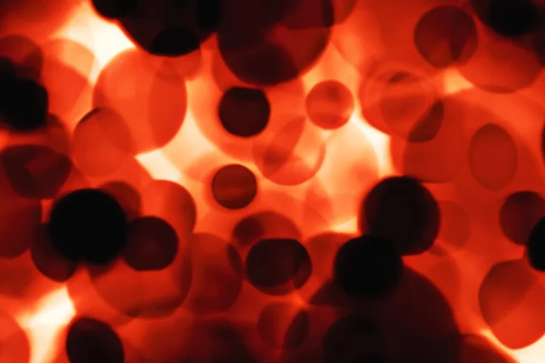 Guardians of the Airways: New Insights into Human Lung Immunity and Vaccine Development