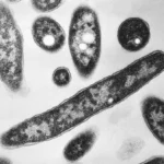 Health Officials Scramble to Contain Legionnaires’ Cluster in Upper East Side Neighborhoods