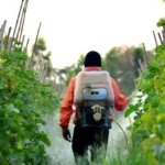 Legislative Pushback: Bipartisan Coalition Challenges Supreme Court’s Pesticide Immunity Ruling