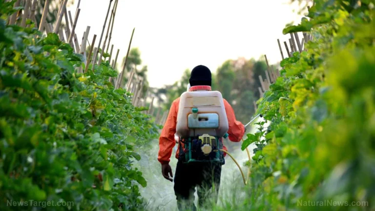 Legislative Pushback: Bipartisan Coalition Challenges Supreme Court’s Pesticide Immunity Ruling