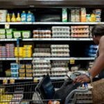 Nationwide Salmonella Outbreak Traced to Recalled Eggs: A Comprehensive Report