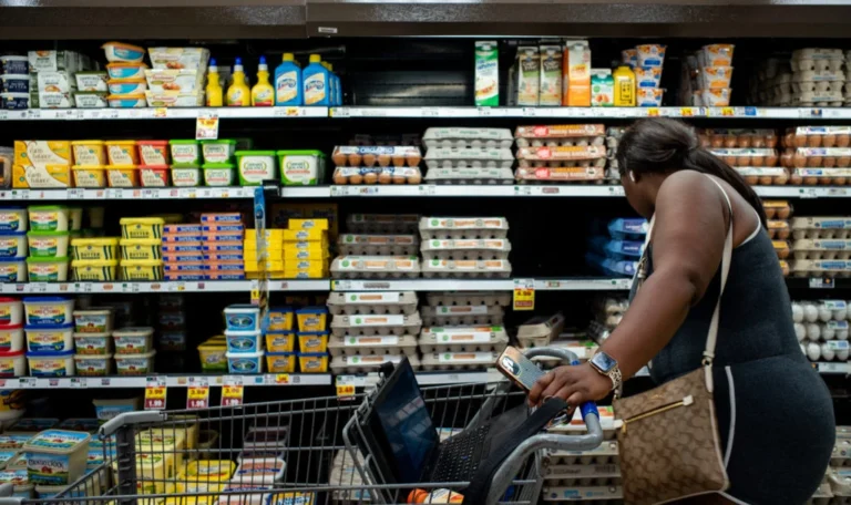 Nationwide Salmonella Outbreak Traced to Recalled Eggs: A Comprehensive Report