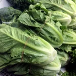 Record-Breaking Cyclospora Surge: U.S. Health Officials Scramble to Identify Source of Parasitic Outbreak