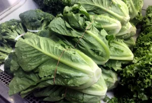 Record-Breaking Cyclospora Surge: U.S. Health Officials Scramble to Identify Source of Parasitic Outbreak