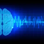 Redefining Vigilance: Why ‘Microsleeps’ Are Changing the Standard for Narcolepsy Treatment
