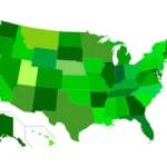 Respiratory Surveillance Update: CDC Reports Elevated PIV Activity Amid Shifting Viral Trends