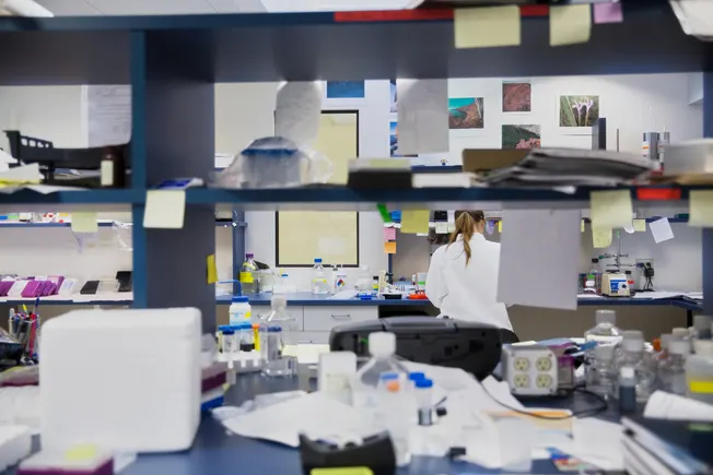 The AI Crossroads: Leadership Vacuum and the Future of FDA Automation