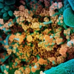 The “Cicada” Emerges: Understanding the BA.3.2 COVID-19 Variant and Its Implications for Public Health