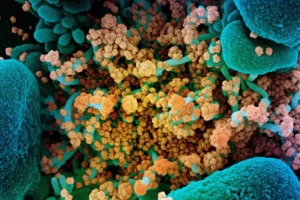 The “Cicada” Emerges: Understanding the BA.3.2 COVID-19 Variant and Its Implications for Public Health
