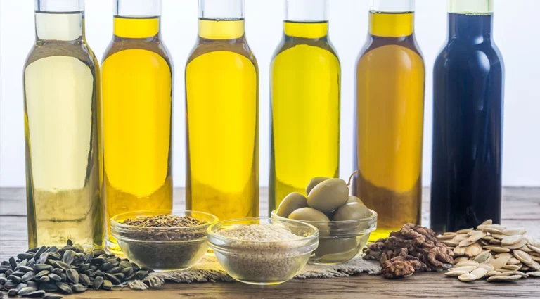 The Fat Paradox: Why the Source of Your Lipids Matters More Than the Calorie Count