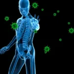 The Human Shutdown: Unmasking the Biological Crisis Behind the Autoimmune Epidemic