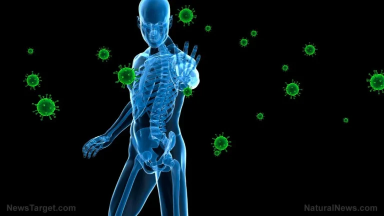 The Human Shutdown: Unmasking the Biological Crisis Behind the Autoimmune Epidemic