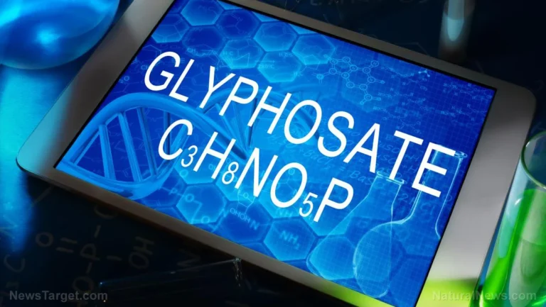 The Silent Erosion of Cognition: Is Glyphosate Rewiring the Developing Brain?