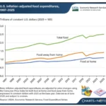 The Trillion-Dollar Appetite: Analyzing the Unstoppable Rise of U.S. Food Expenditure
