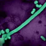 A New Era in Immunization: Moderna’s mFlusiva Becomes First mRNA Seasonal Flu Vaccine Approved for US Adults