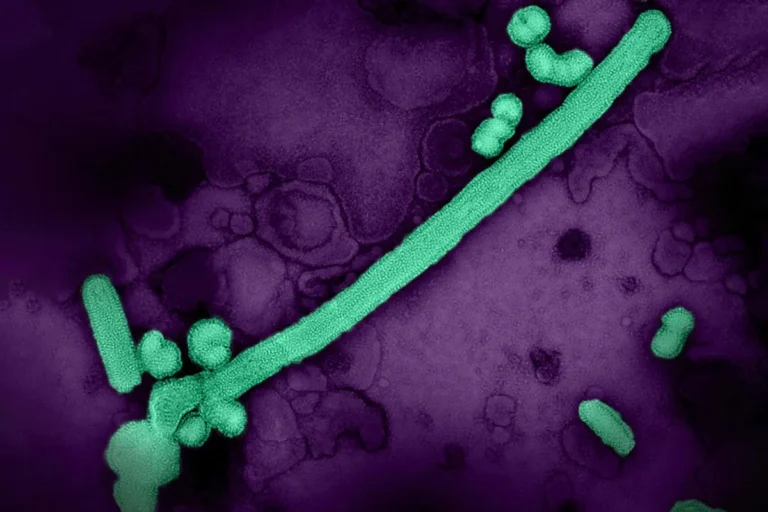 A New Era in Immunization: Moderna’s mFlusiva Becomes First mRNA Seasonal Flu Vaccine Approved for US Adults