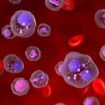 A New Era in Myeloma Care: FDA Grants Accelerated Approval to Iberdomide (Zenbexus)