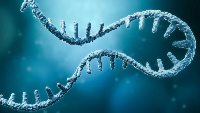 A New Frontier in Oncology: Moderna and Merck’s mRNA Cancer Therapy Hits Historic Phase 3 Milestone