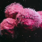 A New Standard of Care: Ziihera’s FDA Expansion Signals Shift in Gastroesophageal Cancer Treatment