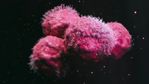 A New Standard of Care: Ziihera’s FDA Expansion Signals Shift in Gastroesophageal Cancer Treatment