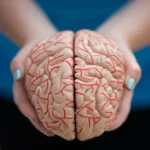 A New Titan in Neuroscience: Supernus and Indivior Announce Strategic Merger of Equals