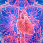 A Paradigm Shift in Cardiology: Landmark TRIC-I-HF Trial Links Transcatheter Repair to Hard Clinical Outcomes