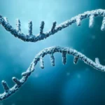 A Paradigm Shift in Oncology: Moderna and Merck’s mRNA Cancer Therapy Hits Historic Phase 3 Milestone