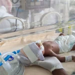 Balancing Benefits and Risks: New Data Sheds Light on Probiotic Safety in Preterm Infants
