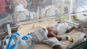 Balancing Benefits and Risks: New Data Sheds Light on Probiotic Safety in Preterm Infants