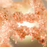 Beyond Appetite Suppression: UC Berkeley Researchers Unveil Novel Compound for Metabolic Health
