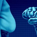 Beyond the Brain: How Obesity-Linked Lipids May Drive Alzheimer’s Progression