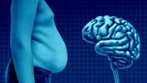 Beyond the Brain: How Obesity-Linked Lipids May Drive Alzheimer’s Progression