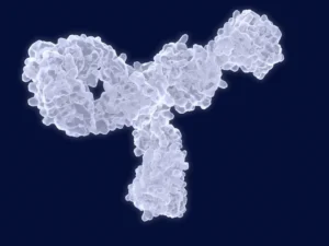 Beyond the Rodent Model: Infinimmune Secures $75 Million to Revolutionize Antibody Discovery