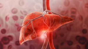 Beyond Weight Loss: McMaster Researchers Uncover the Liver-Protective Power of GDF15
