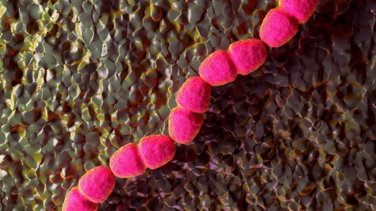Breaking the Cycle: New Scientific Breakthrough Offers Hope for Chronic Wound Healing