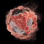 Breaking the KRAS Stranglehold: A New Frontier in Pancreatic Cancer Research