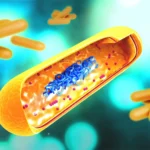 Breakthrough in the War on Tuberculosis: New Intranasal DNA Vaccine Targets Drug-Tolerant "Persisters"