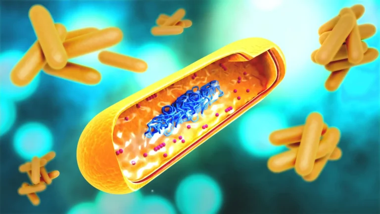 Breakthrough in the War on Tuberculosis: New Intranasal DNA Vaccine Targets Drug-Tolerant "Persisters"