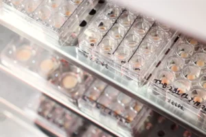 Bridging Biology and Bytes: How Outer Bio is Revolutionizing Skin Science