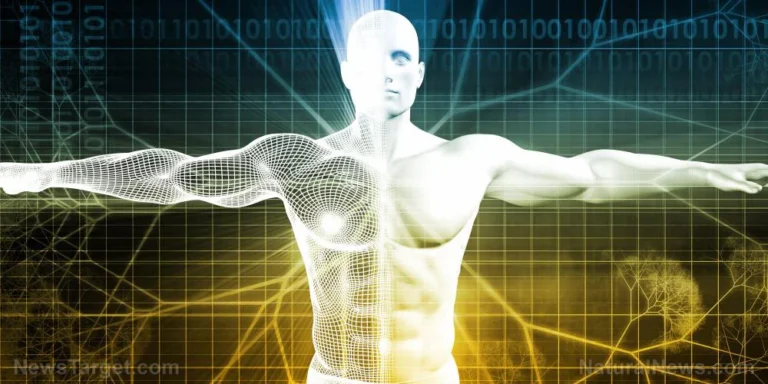 Bridging Energy and Anatomy: The Aleph-Tav Body System and the New Frontier of Personal Restoration
