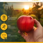 Bridging Mindfulness and Science: The 2023-2024 Harvard Healthy Living Guide
