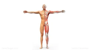 Bridging the Physical and the Spiritual: Dr. Alphonzo Monzo Unveils the Second Cycle of the Aleph-Tav Body System
