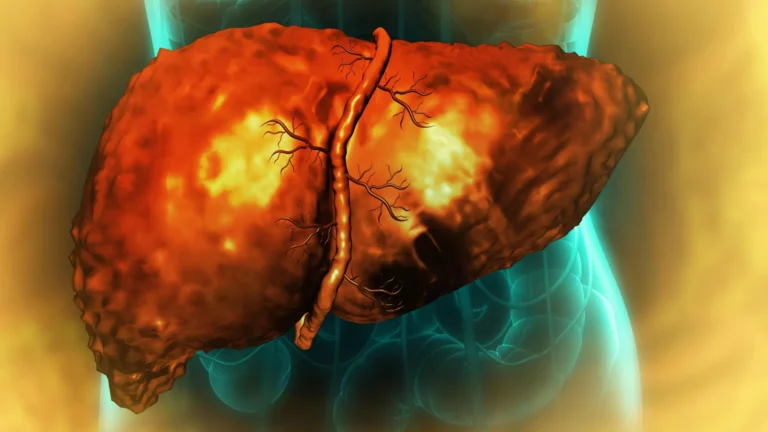 Cellular Limbo: Why Alcohol-Damaged Livers Fail to Heal