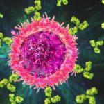 Critical Alert: CDC Warns of Severe Arboviral Risks for Patients on B-Cell Depleting Therapies