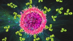 Critical Alert: CDC Warns of Severe Arboviral Risks for Patients on B-Cell Depleting Therapies