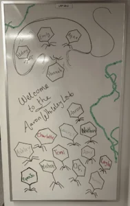 Decoding the Ancient Code: How Dr. Aaron Whiteley is Revolutionizing Cancer Immunotherapy through Bacterial Signaling